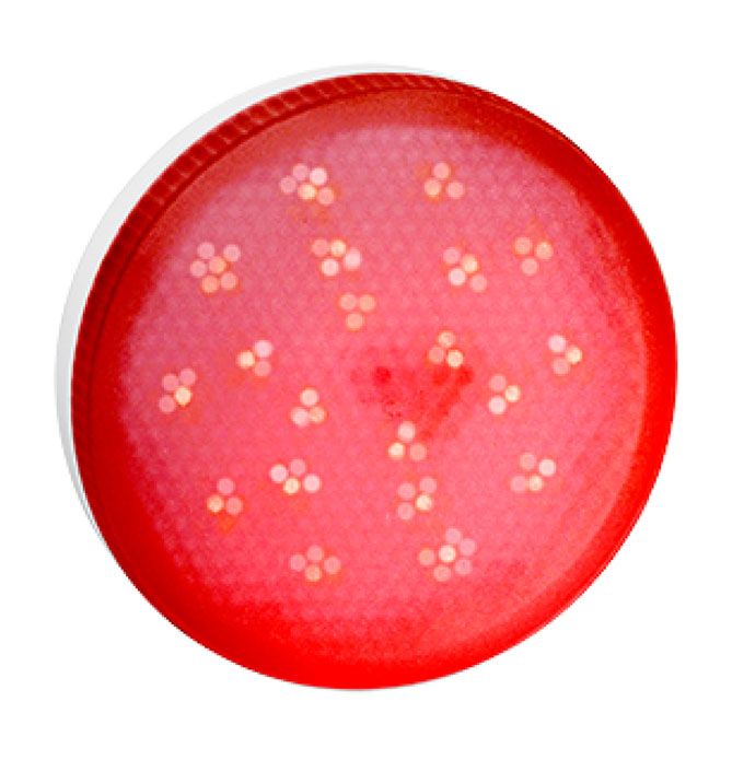 Светодиодная лампа Ecola в форме таблетки GX53 LED 8W матовая красная