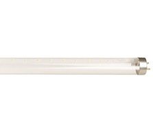 Линейная светодиодная лампа ASD ECO T8 G13 LED 18W (прозрачная) 4000K