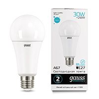 Светодиодная лампа Gauss Elementary шар LED 30W A67 E27 (матовая) 4100K