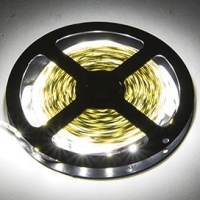 Ecola LED PRO 19W/m 12V IP20 10mm 6000K (50m)